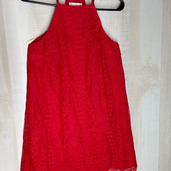 Altar’d State red sleeveless spaghetti strap lined dress, size small - Picture 15 of 16